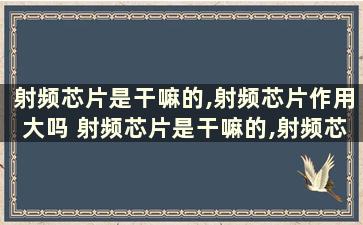 射频芯片是干嘛的,射频芯片作用大吗 射频芯片是干嘛的,射频芯片作用是啥